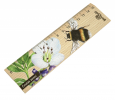 Dřevěné pravítko 15 cm čmelák