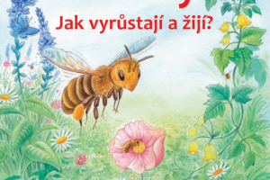Včelky - jak vyrůstají a žijí