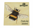 Magnet čmelák
