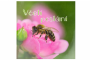 Včelí poslání
