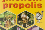 Zázrak jménem propolis